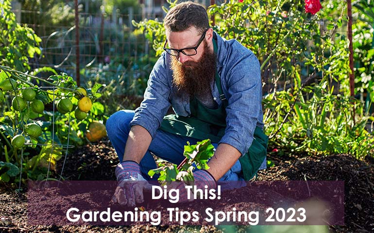 Dig This! Gardening Tips Spring 2023