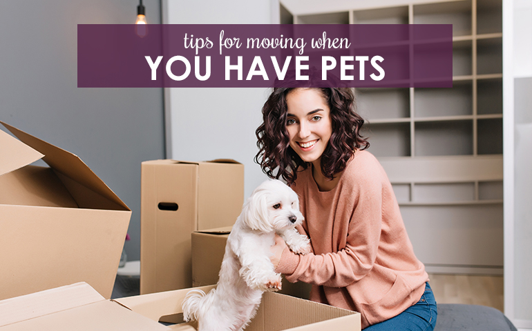 Moving With Pets? Tips to Make the Transition a Smooth One