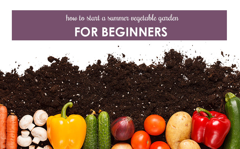 How to Start a Summer Vegetable Garden for Beginners 