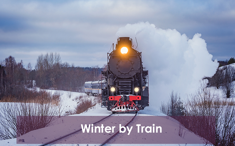 Winter by Train