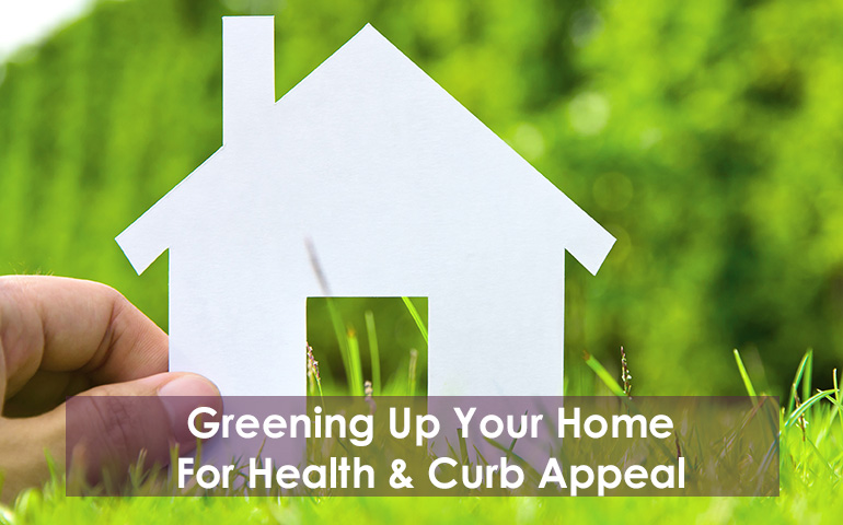 Greening Up Your Home for Health and Curb Appeal