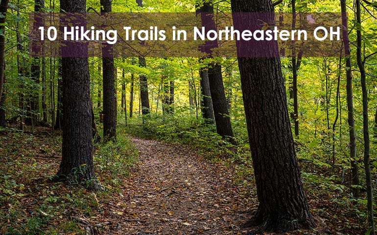 10 Hiking Trails in Northeastern Ohio