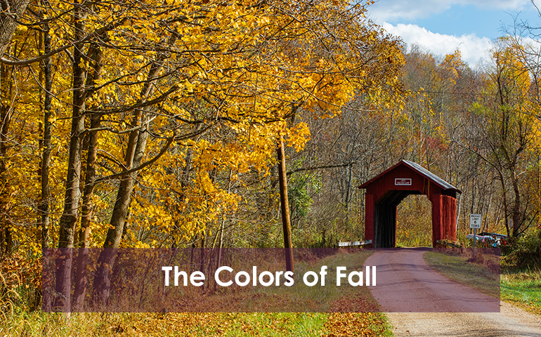The Colors of Fall