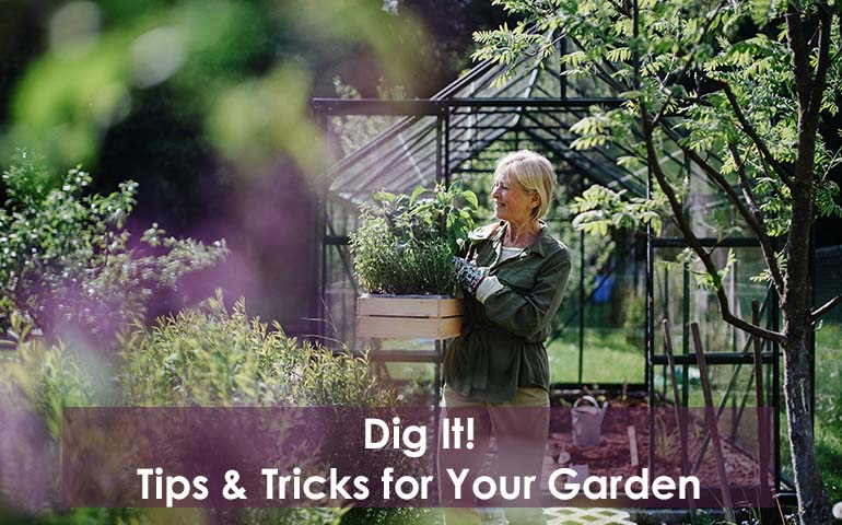 Dig It! Tips and Tricks for Your Garden