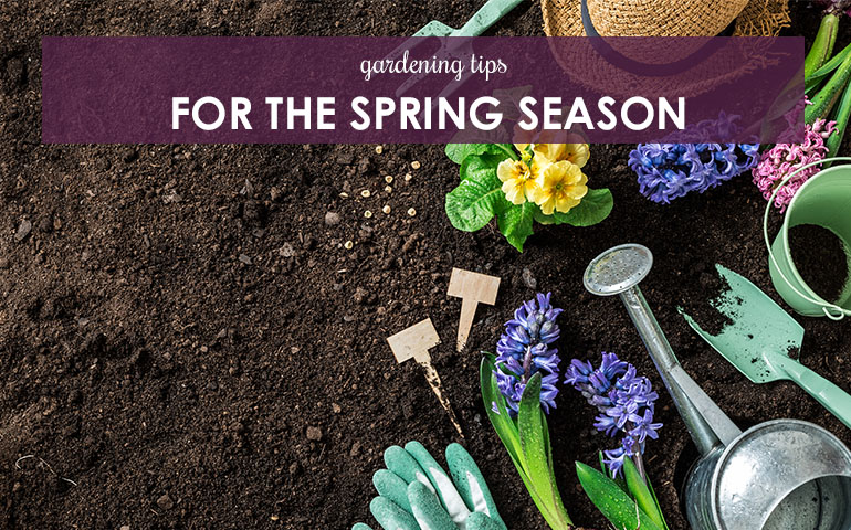 Gardening Tips for the Spring Season