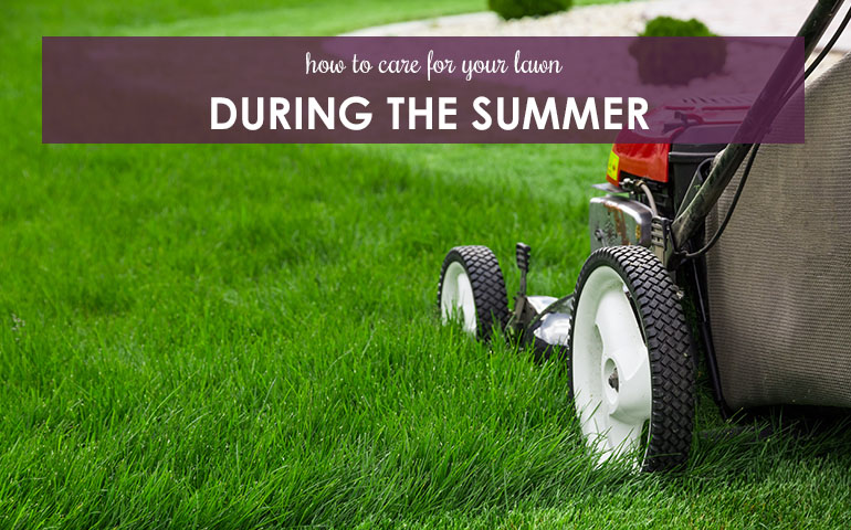 How to Care For Your Lawn During the Summer