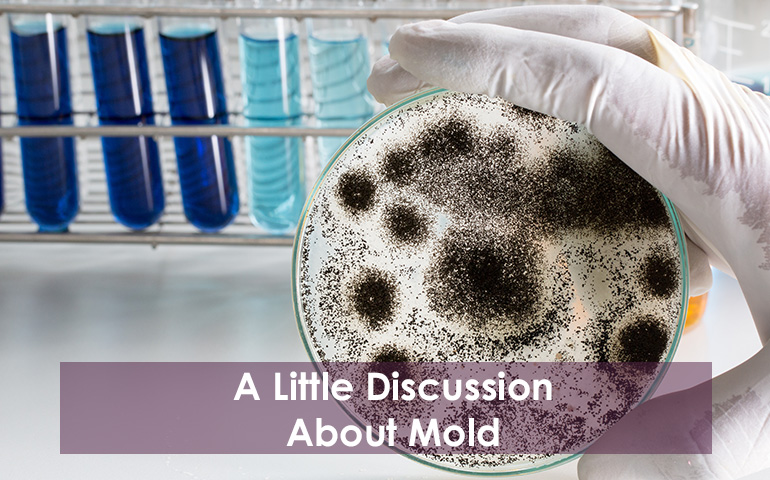 A Little Discussion About Mold