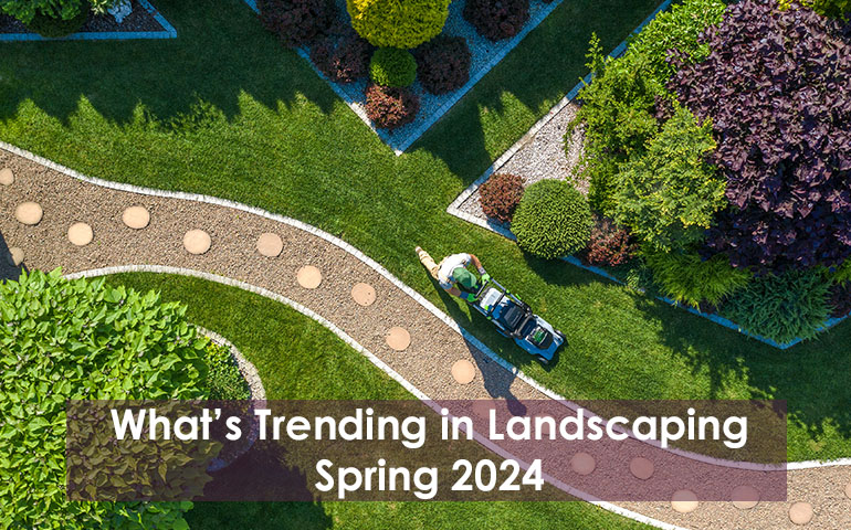 What's Trending in Landscaping Spring 2024