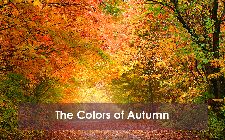 The Colors of Autumn