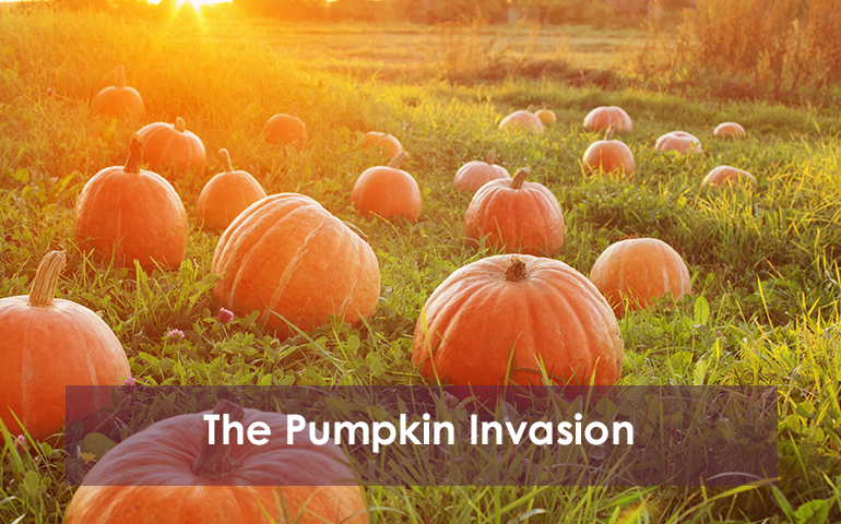 The Pumpkin Invasion