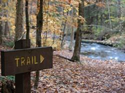 10 Hiking Trails Near Pittsburgh
