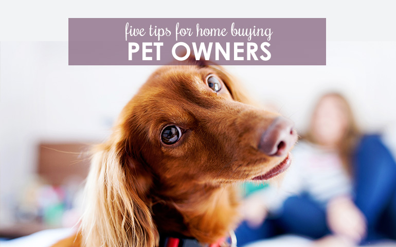 Five Pointers for Buying a Home with Pets