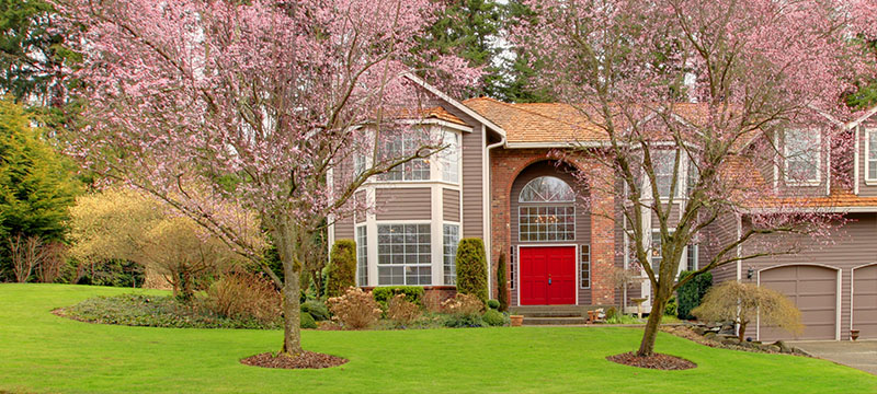 The Deal with Curb Appeal? Maximize Your Home’s Exterior with Minimal Investment!