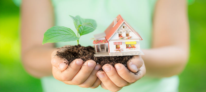 Celebrate Earth Day the Easy Way: Five Green Ideas for Your Home
