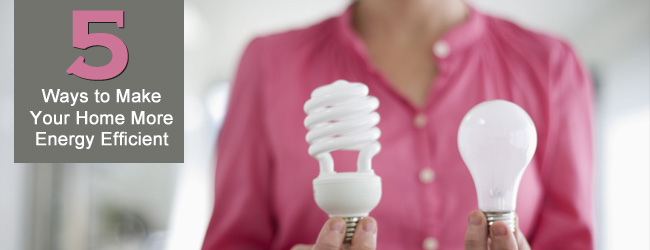 5 Ways to Make Your Home More Energy Efficient