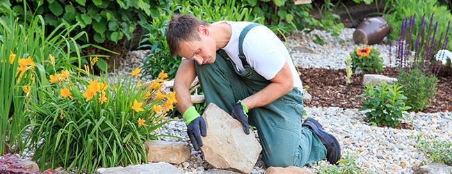 Lawn Tips in Time for National Lawn and Garden Month 