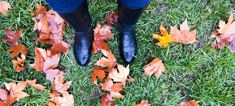 Forget the Garland for Now: Prepare Your Yard for Winter