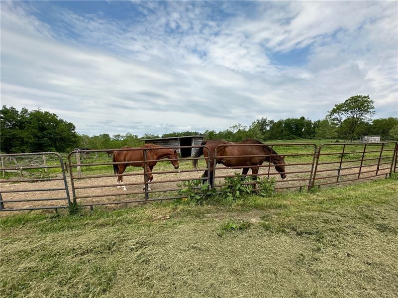 562 Palmer Adah Road  Photo 36