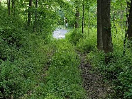 Lot 5 Route 259, Ligonier Township