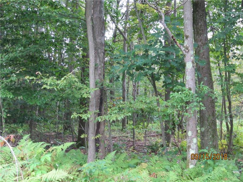 0 Chickadee Lane, Middlecreek Twp