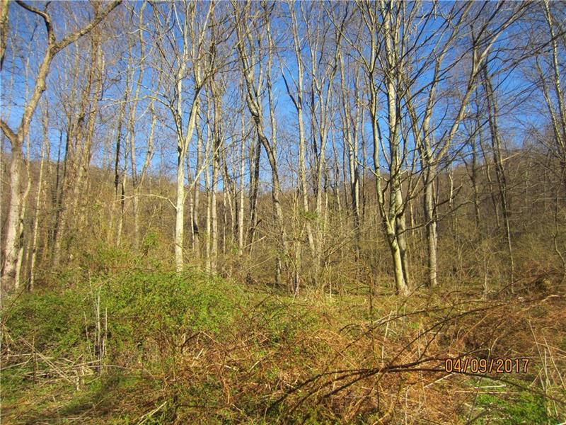 1422 Mae West Rd, Henry Clay Twp.
