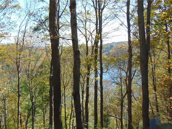 OO Loyalhanna Dam Rd, Loyalhanna