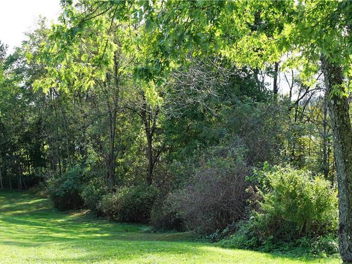 SR 3105 Locust Street, East Huntington
