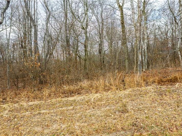 Lot 3 White Cloud & Williams, Allegheny Twp