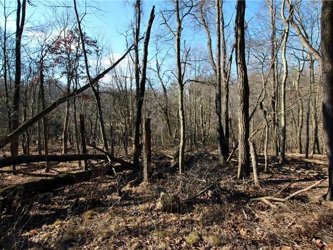 0 Thompson Run Rd, Ross Twp