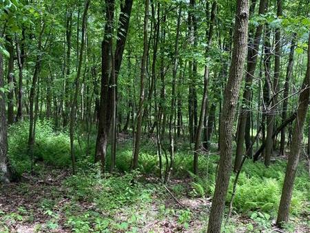 0000 Game Reserve Rd, Donegal Twp