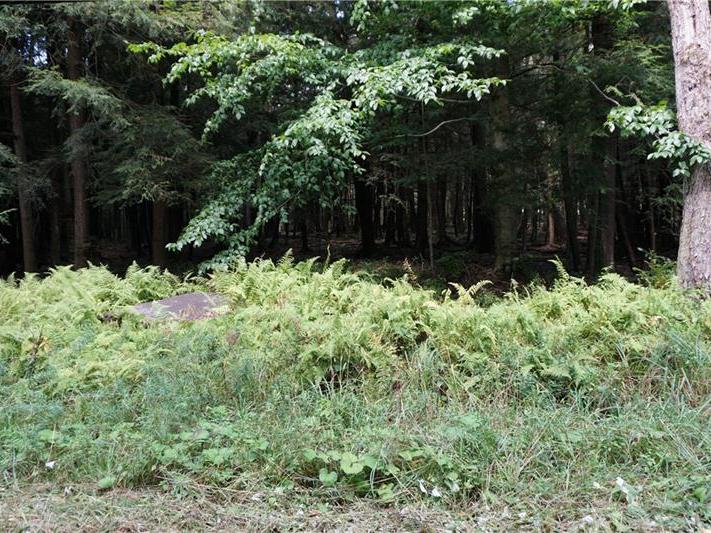 Lot 12 East Fairway Rd., Indian Lake Boro