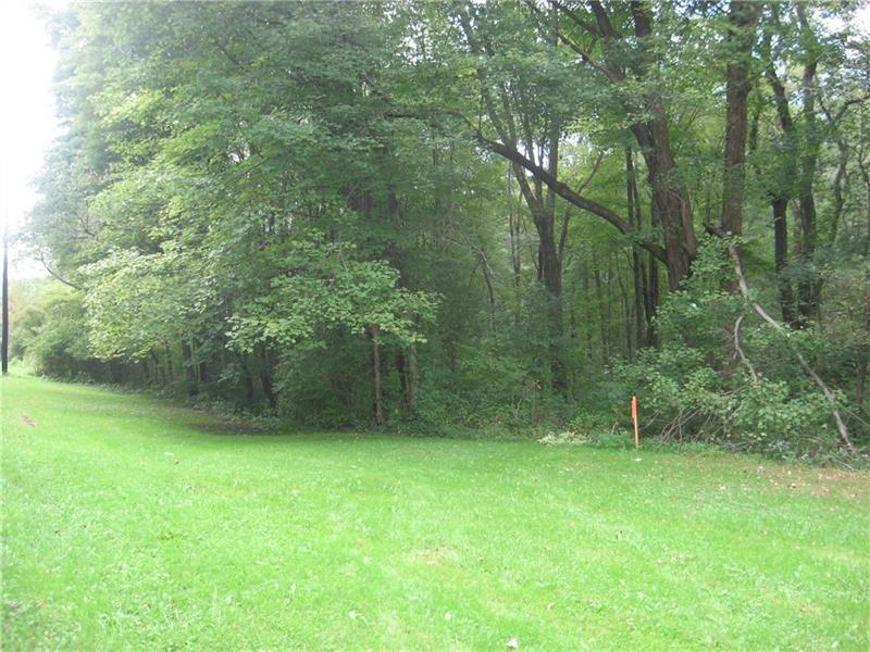 000 Peaceful Valley, Washington Twp