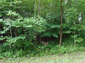 Lot #15 Timberland Drive, Unity Twp