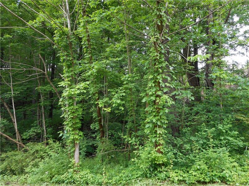 Lot #16 Timberland Drive, Unity Twp