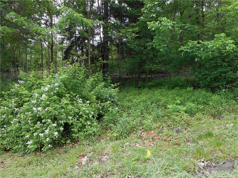 Lot #19 Timberland Drive, Unity Twp